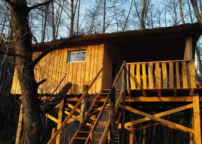 Cabane Des Cerfs
