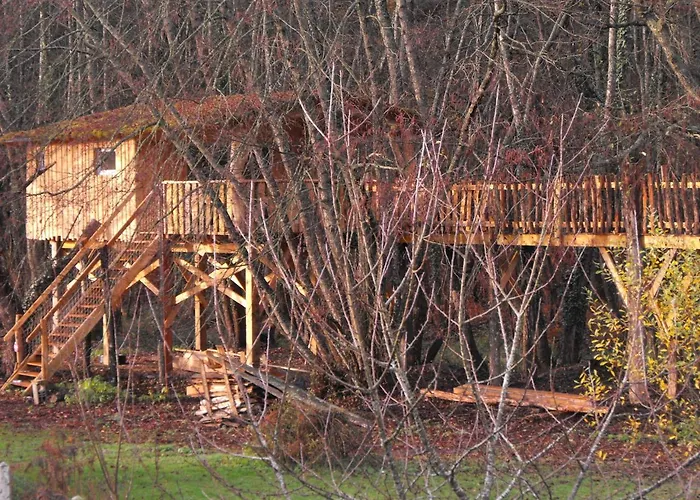 Cabane Des Cerfs