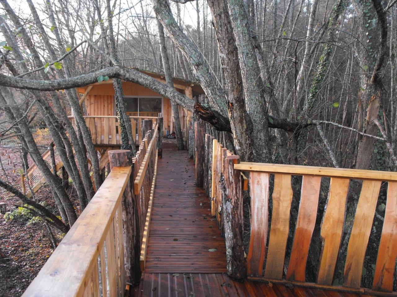 Luxury tent Des Cerfs