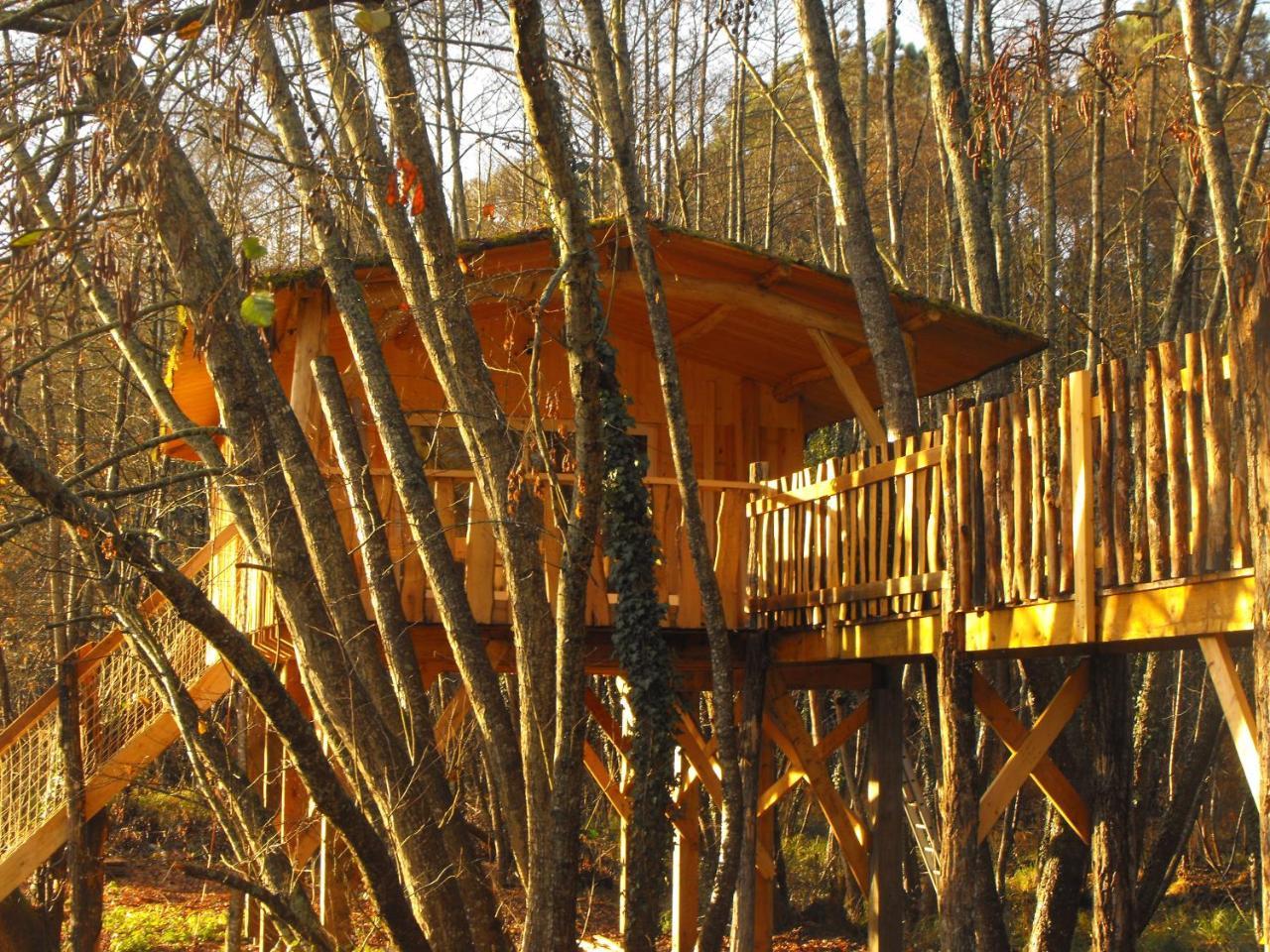 Luxury tent Des Cerfs